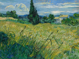 Gogh_Zelené obilí